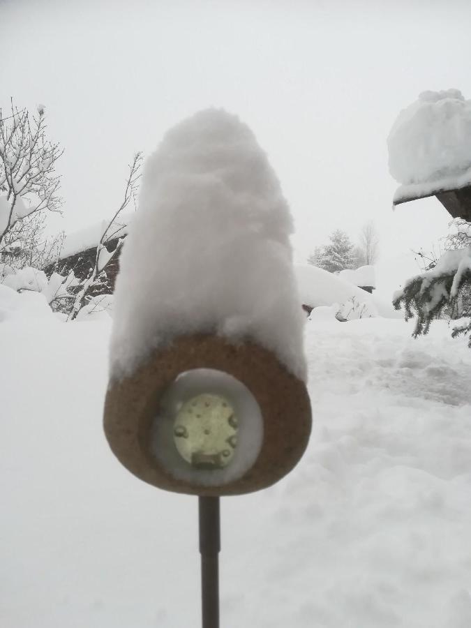 Haus Schmidberger Appartement Schneizlreuth Buitenkant foto