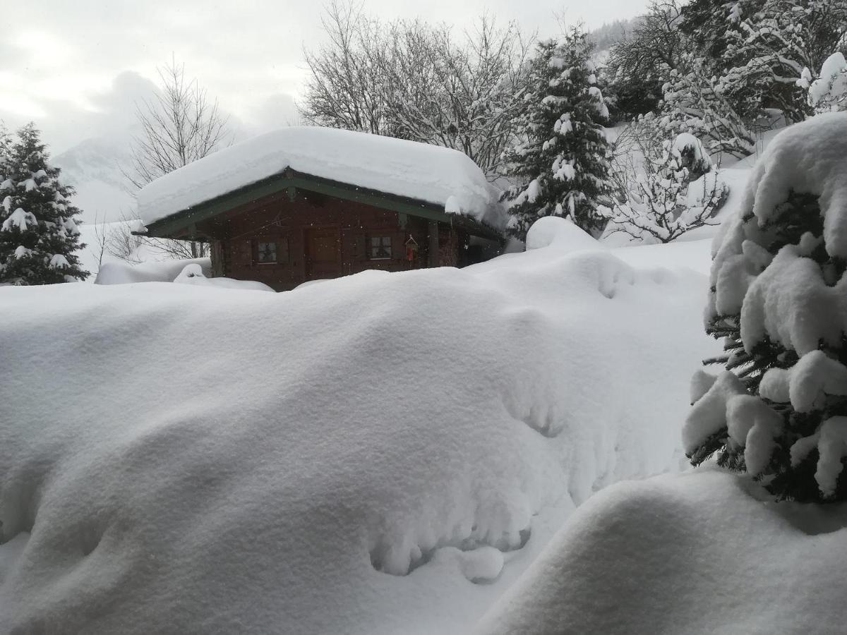 Haus Schmidberger Appartement Schneizlreuth Buitenkant foto